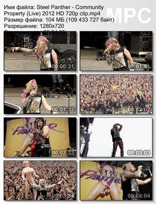 Steel Panther - Community Property (Live) (2012)