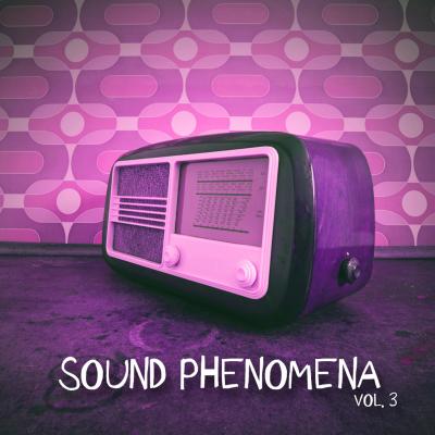 Sound Phenomena, Vol. 3 (2016)