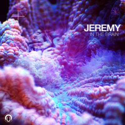 Jeremy - In the Brain