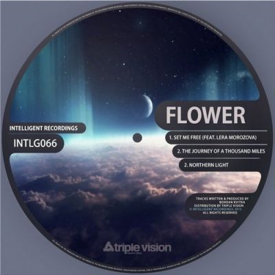Flower - Northern Light
