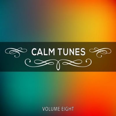 VA - Calm Tunes Vol.08 (2015)