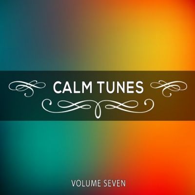 VA - Calm Tunes, Vol. 07 (2014)
