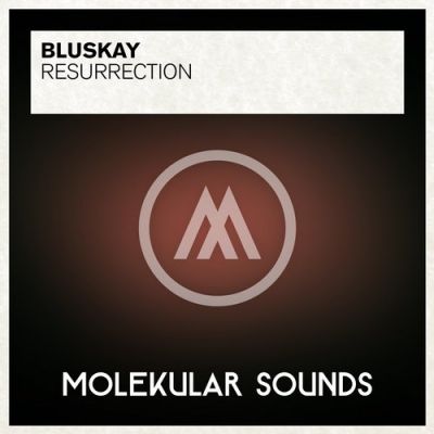 BluSkay - Resurrection
