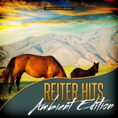 VA - Reiter Hits - Ambient Edition (2015)